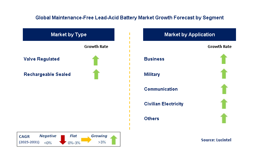 Maintenance-Free Lead-Acid Battery Market by Segment